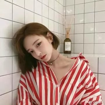 桑树的影子